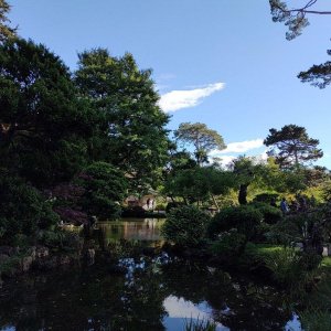 Japanischer_Teegarten_02.jpg