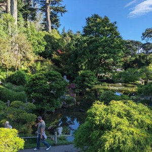 Japanischer_Teegarten_03.jpg