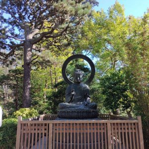 Japanischer_Teegarten_05.jpg