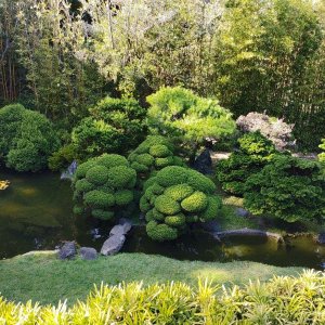 Japanischer_Teegarten_06.jpg
