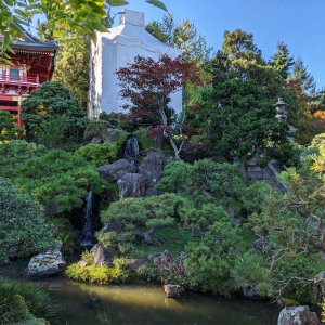 Japanischer_Teegarten_08.jpg