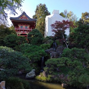 Japanischer_Teegarten_09.jpg