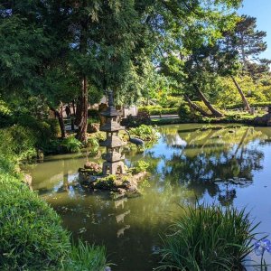 Japanischer_Teegarten_11.jpg