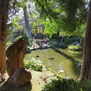 Japanischer_Teegarten_13.jpg