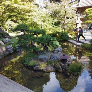 Japanischer_Teegarten_14.jpg