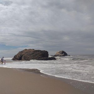 Seal_Rocks_02.jpg