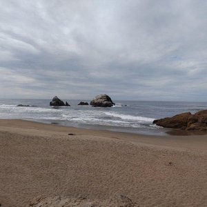Seal_Rocks_03.jpg