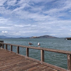 Alcatraz_and_Seagulls.jpg