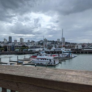 Yachts_and_City_Panorama.jpg