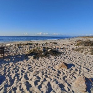 17-Mile-Drive_01.jpg