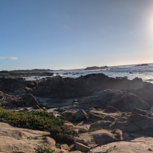 17-Mile-Drive_06.jpg