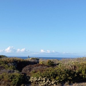 17-Mile-Drive_08.jpg