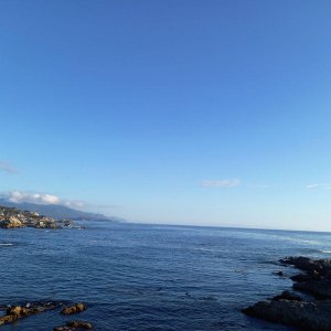 17-Mile-Drive_09.jpg