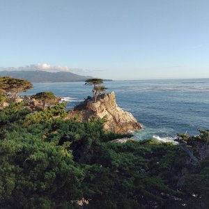 Lone_Cypress_02.jpg
