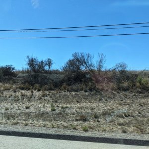 Pacific_Coast_Highway_06.jpg