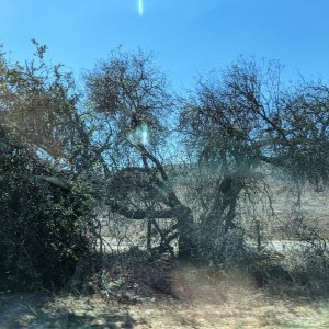 Pacific_Coast_Highway_07.jpg