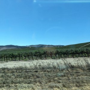 Pacific_Coast_Highway_09.jpg