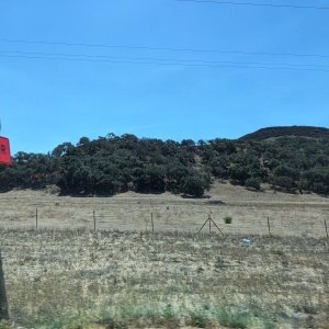 Pacific_Coast_Highway_10.jpg