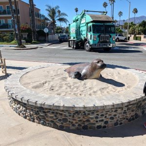 Carpintera_Seal_Harbor_01.jpg
