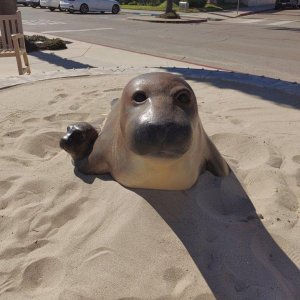Carpintera_Seal_Harbor_02.jpg