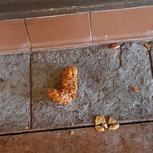 20220824_123840.jpg