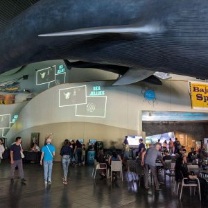 AQUARIUM_OF_THE_PACIFIC_01.jpg