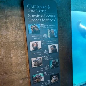 AQUARIUM_OF_THE_PACIFIC_05.jpg