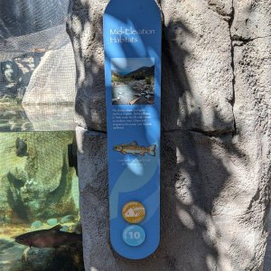 AQUARIUM_OF_THE_PACIFIC_11.jpg