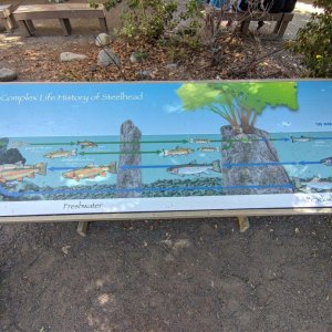 AQUARIUM_OF_THE_PACIFIC_12.jpg