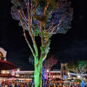 DOWNTOWN_DISNEY_SPARKLING_TREE.jpg