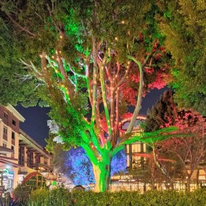 DOWNTOWN_DISNEY_SPARKLING_TREE.jpg