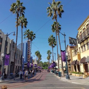 DCA_HOLLYWOODLAND_BOULEVARD.jpg