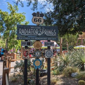 DCA_CARSLAND_01.jpg
