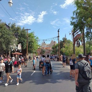 DCA_CARSLAND_03.jpg