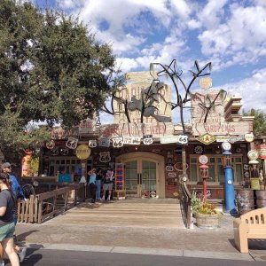 DCA_CARSLAND_05.jpg