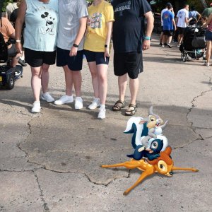 895243444_HIGH.jpg