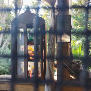 Jungle_Cruise_01.jpg