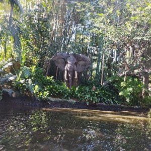Jungle_Cruise_07.jpg