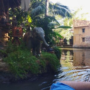 Jungle_Cruise_13.jpg
