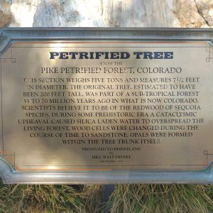 Disneyland-Park_Frontierland_Petrifed_Tree_Dedication.jpg