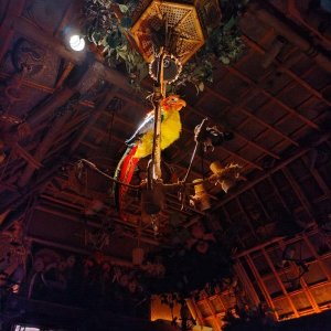 Walt_Disneys_Enchanted_Tiki-Room_07.jpg