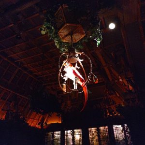 Walt_Disneys_Enchanted_Tiki-Room_08.jpg
