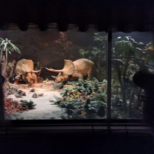Disneyland_Railroad_Dinorama_03.jpg