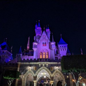 Disneyland-Park_Nighttime_Caste_01.jpg