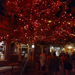 Disneyland-Park_Frontierland_Halloween-Tree_02.jpg