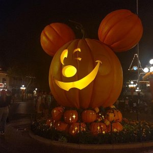 Disneyland-Park_Mickey-Pumpkin.jpg