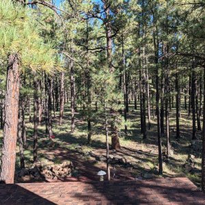 Sherwood-Forest_Cabin_14.jpg