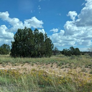 Road_to_Grand_Canyon_03.jpg