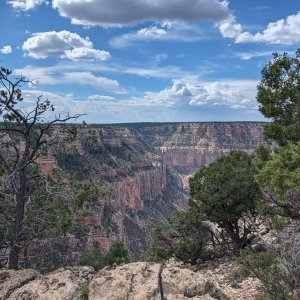 Grand_Canyon_20.jpg