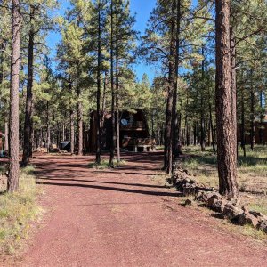 Sherwood_Forest.jpg